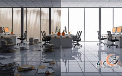 Professioneller Frühjahrsputz – Eine saubere Sache mit klaren Aussichten